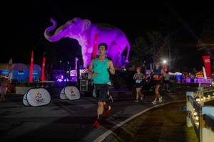 BIB: 
                            <button type="button" onclick="openModal(26552171)" class="btn btn-primary btn-sm float-right btn-popup" data-toggle="modal" data-target=".modal-high-quality">
                        <i class="fas fa-shopping-cart"></i> Add to Cart
                    </button>
                                            <button type="button" onclick="isThisMe(26552171, true)" class="btn btn-success btn-sm float-right btn-popup btn-isme hidden" data-toggle="tooltip" data-placement="bottom" title="นี่คือรูปของคุณใช่ไหม คลิกที่นี่เพื่อเอาเข้าอัลบั้ม">
                        <i class="fas fa-plus"></i> Add to album
                    </button>
                    <button type="button" onclick="isThisMe(26552171, false)" class="btn btn-warning btn-sm float-right btn-popup btn-isnotme hidden">
                        <i class="fas fa-ban"></i> Remove from album
                    </button>